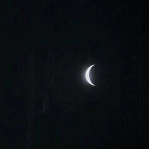 女女女女女BBBB毛片
